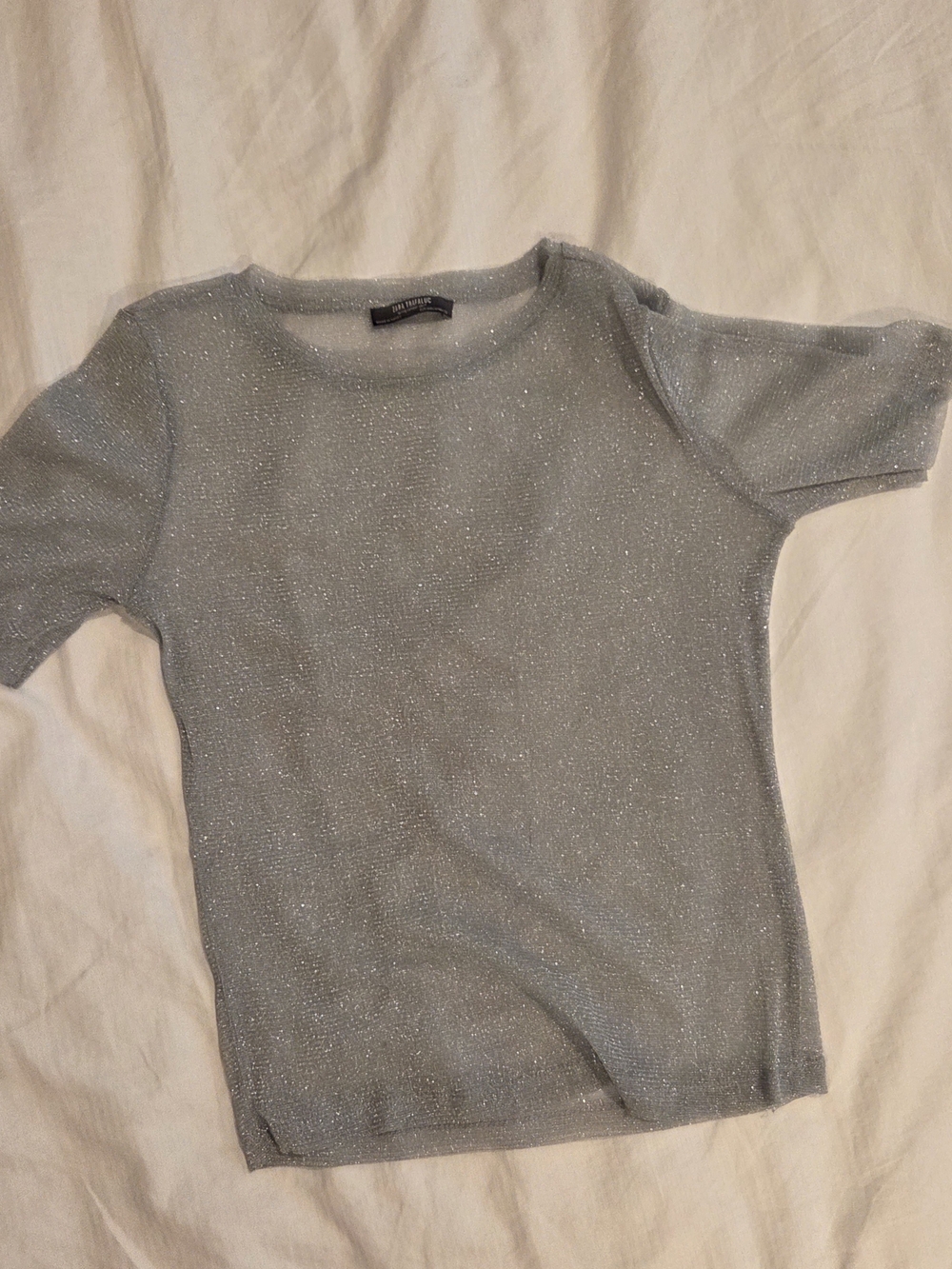 Zara Metallic Light Gray Short-Sleeve Crewneck Top